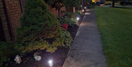 solar path lights