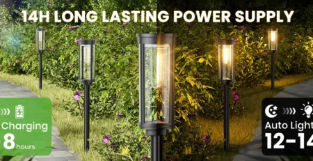 Solar Outdoor Lights with Sensor