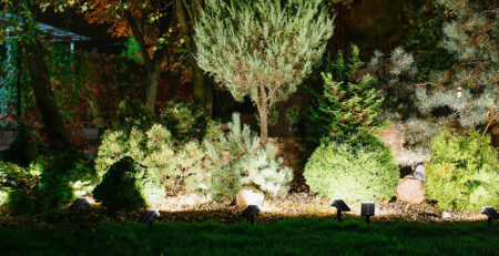 solar spot lights