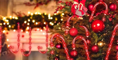 Christmas solar light
