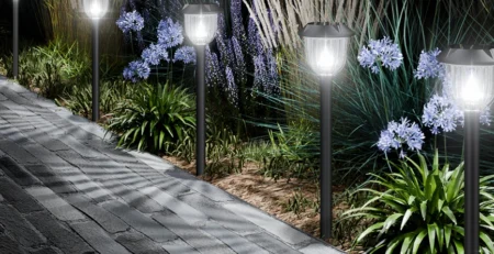 solar pathway light