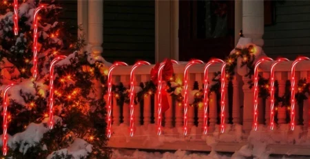 Christmas solar light
